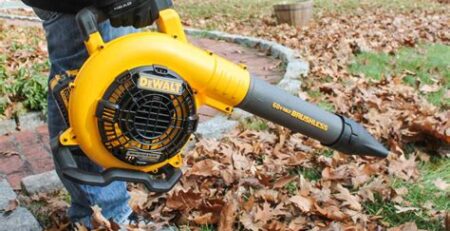 Guide to Choosing the Best Cordless Leaf Blower