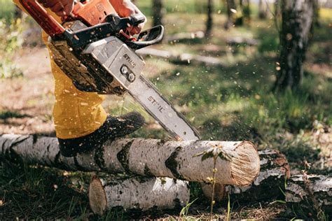 The Ultimate Guide to Choosing the Right Chainsaw