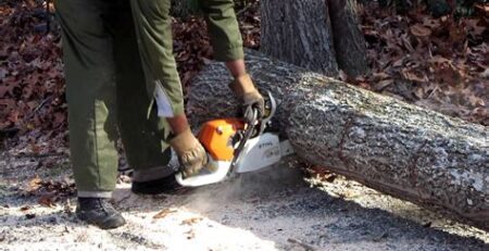 10 Essential Chainsaw Safety Tips for Beginners